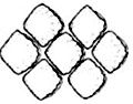 Centroforus_claves-granulosus.jpg