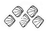 Centroforus_claves_uyato.jpg