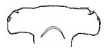 Sphyrna mokarran_01