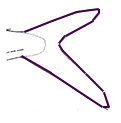 Hemiramphus(clave).jpg