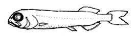 Rouleina-claves.jpg
