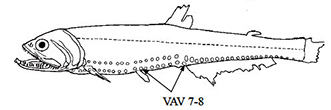 Polymetme_claves.jpg